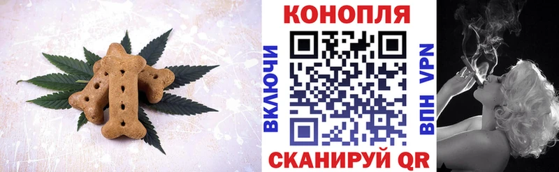 мориарти какой сайт  Шацк  Cannafood конопля 