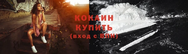 ГАЛЛЮЦИНОГЕННЫЕ ГРИБЫ Аркадак