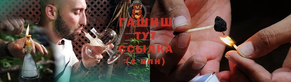 шишки Арсеньев