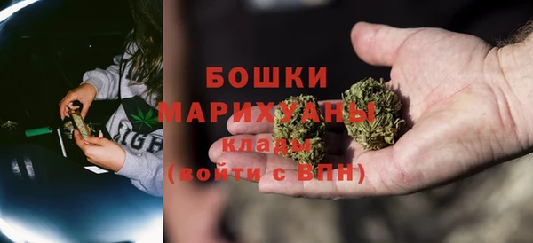 шишки Арсеньев