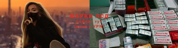ГАЛЛЮЦИНОГЕННЫЕ ГРИБЫ Аркадак