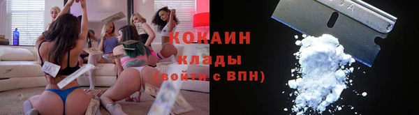 шишки Арсеньев