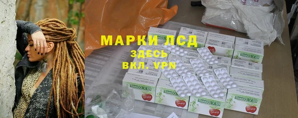 ГАЛЛЮЦИНОГЕННЫЕ ГРИБЫ Аркадак