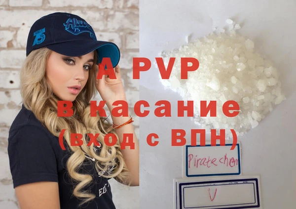 шишки Арсеньев