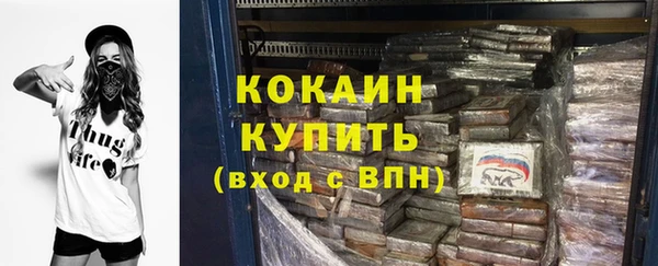 шишки Арсеньев