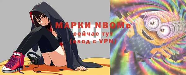 шишки Арсеньев